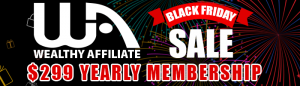 black friday online sales