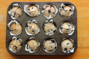 Fresh baked muffins still in baking dish.